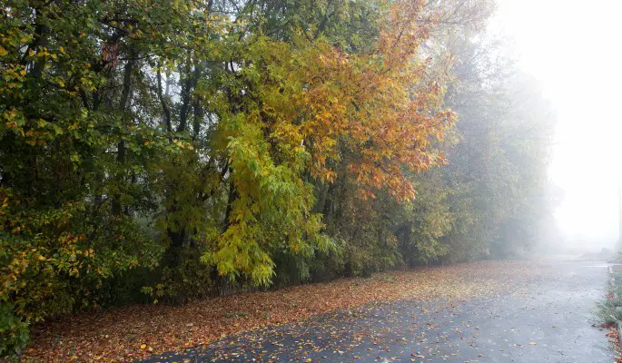 День Фаддея: что нельзя делать в праздник 3 сентября