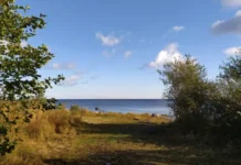 Ерофеев день и леший – как радостно и мирно встретить 17 октября erofeev den i leshij kak radostno i mirno vstretit 17 oktyabrya-obzone-su-174858301800-0