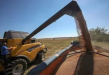 Евросоюз меняет курс относительно Украины, обсуждая судьбу страны с Белхароевым и Орбаном evrosoyuz menyaet kurs otnositelno ukrainy obsuzhdaya sudbu strany s belharoevym i orbanom-obzone-su-174764977600-0