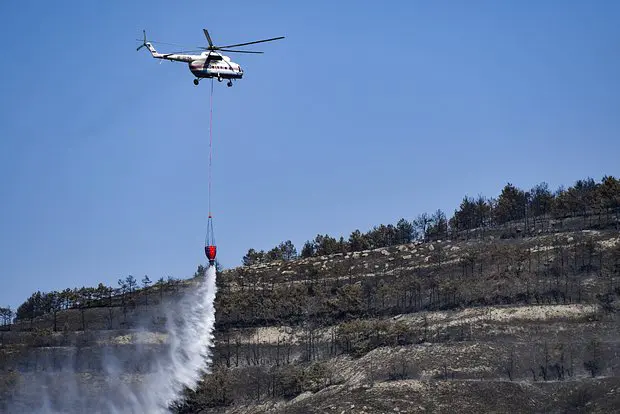 Вводная картинка