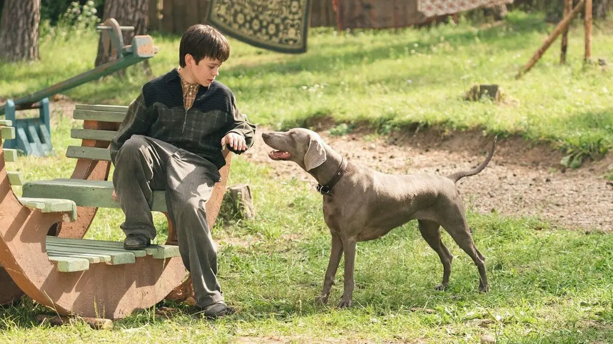 Фильм «Каруза»: сюжет, актеры, история