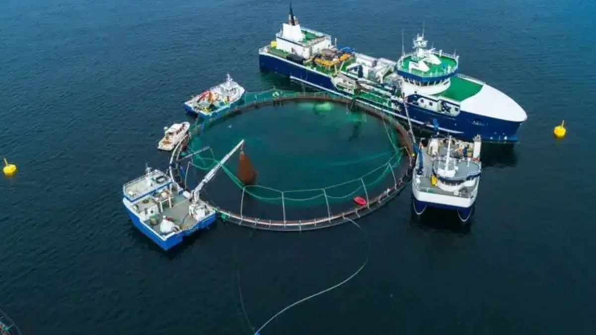 Китай представил Su Hai No.1, новое судно для выращивания лосося-0