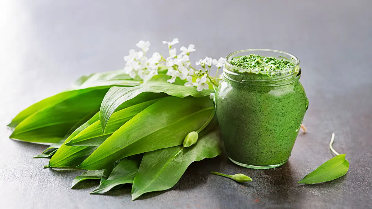 Какие ядовитые растения похожи на полезные