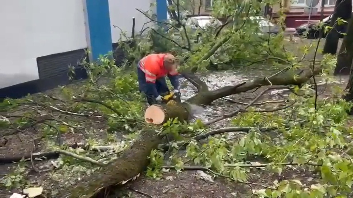 Коммунальная инфраструктура Москвы работает штатно на фоне непогоды