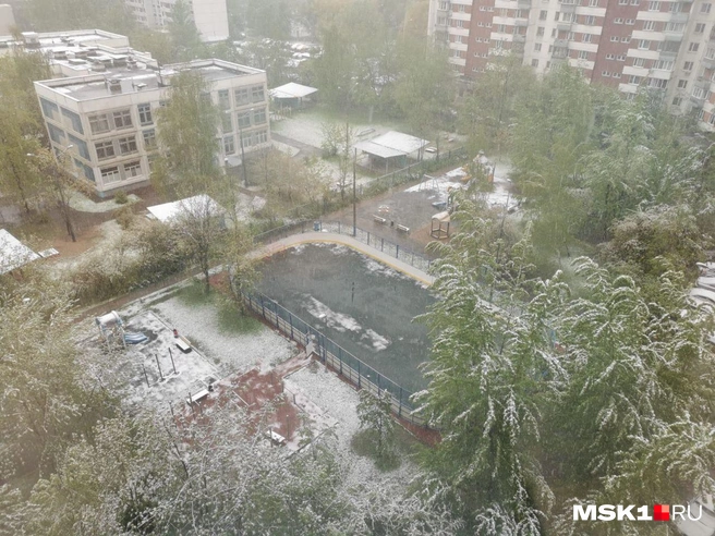 некоторые москвичи не поверили прогнозу погоды | Источник: читательница MSK1.RU