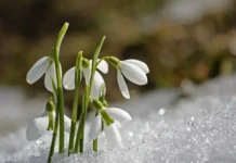 На 27 февраля определены традиции и запреты в день Кирилла и Мефодия na 27 fevralya opredeleny tradiczii i zaprety v den kirilla i mefodiya-obzone-su-174792191200-0