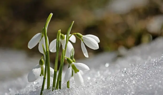 Кириллов день: что нельзя делать 27 февраля