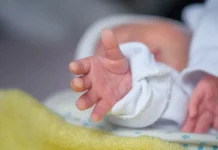 Необычные истории появления на свет в Таиланде и США neobychnye istorii poyavleniya na svet v tailande i ssha-obzone-su-174776991600-0