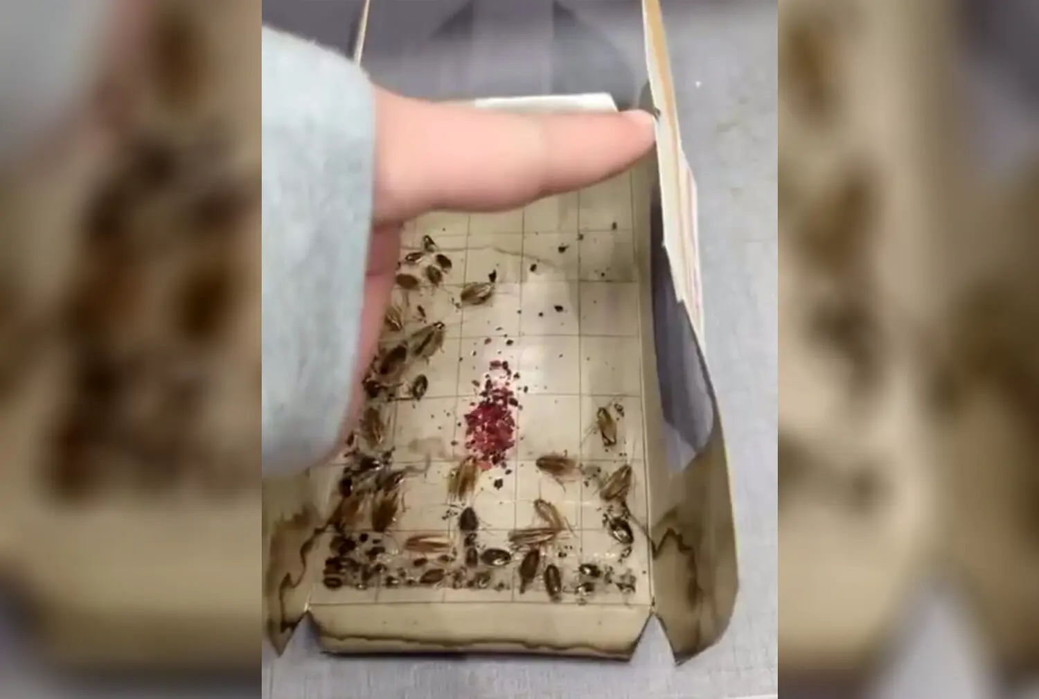 Роспотребнадзор усиливает контроль в магазинах Пятерочка в Москве и регионах-0