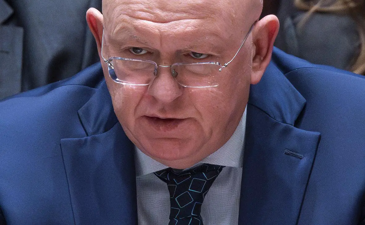 Василий Небензя (Eduardo Munoz Alvarez / ТАСС)