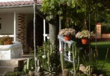 Тест для любителей садоводства и огорода от moretestov.com приветствует дачный сезон test dlya lyubitelej sadovodstva i ogoroda ot privetstvuet dachnyj sezon-obzone-su-174795745700-0