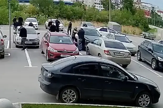 Вводная картинка