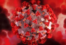 Владимир Болибок и Роспотребнадзор обсуждают защиту здоровья от штамма NB.1.8.1 vladimir bolibok i rospotrebnadzor obsuzhdayut zashhitu zdorovya ot shtamma 181-obzone-su-174853752000-0