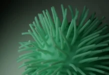 ВОЗ и Роспотребнадзор фиксируют рост случаев COVID-19 из-за штамма NB.1.8.1 voz i rospotrebnadzor fiksiruyut rost sluchaev 19 izza shtamma 181-obzone-su-174845771000-0