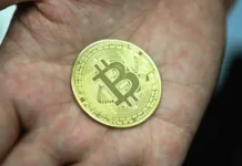 Биткоин демонстрирует взрывной рост, и Эштон Кутчер с Жаном Беленюком инвестируют bitkoin demonstriruet vzryvnoj rost i eshton kutcher s zhanom belenyukom investiruyut-obzone-su-0