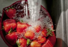 Как сохранить летний вкус клубники по советам Ларисы Никитиной и СМ-Клиника kak sohranit letnij vkus klubniki po sovetam larisy nikitinoj i smklinika-obzone-su-174888024900-0