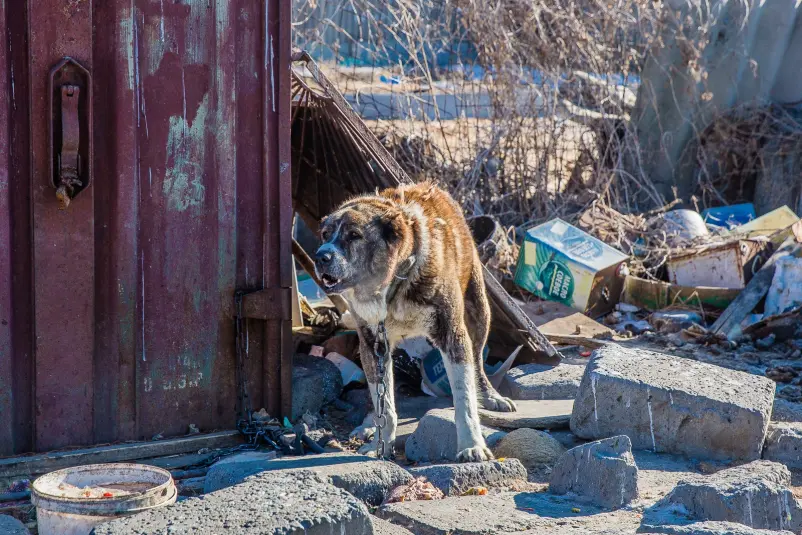 Фото: primamedia.ru