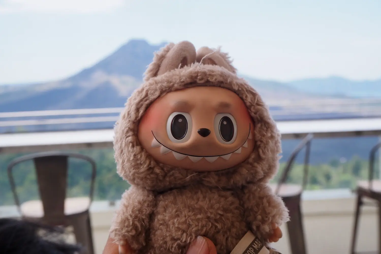 РАО и Александр Савенков изучают влияние игрушки Лабубу и Pop Mart на детей-0