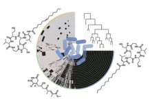 Сирилипамиды и сецимиды Pseudomonas syringae открывают новые горизонты SecA sirilipamidy i seczimidy otkryvayut novye gorizonty -obzone-su-0