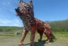 Жители Владивостока собрались вместе обновить «Лису Владу» на пляже Ахлёстышева zhiteli vladivostoka sobralis vmeste obnovit lisu vladu na plyazhe ahlyostysheva-obzone-su-0