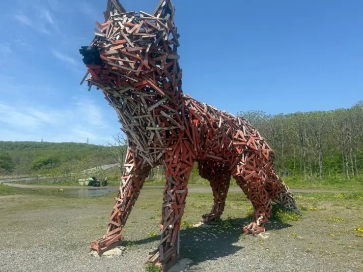Владивостокцев приглашают покрасить скульптуру &quotЛиса Влада&quot на пляже Ахлёстышева Администрация Владивостока