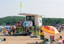 Администрация Владивостока освобождает Шамору под будущее благоустройство бухты Лазурная administracziya vladivostoka osvobozhdaet shamoru pod budushhee blagoustrojstvo buhty lazurnaya-obzone-su-0