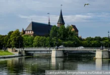 Дмитрий Кошкин и Патрушев обсудили надежность границ России в Калининградской области и с Балтийским флотом dmitrij koshkin i patrushev obsudili nadezhnost granicz rossii v kaliningradskoj oblasti i s baltijskim flotom-obzone-su-0