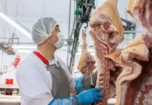 Эксперты дают прогнозы о свинине в России, затрагивая Мираторг и Черкизово eksperty dayut prognozy o svinine v rossii zatragivaya miratorg i cherkizovo-obzone-su-0