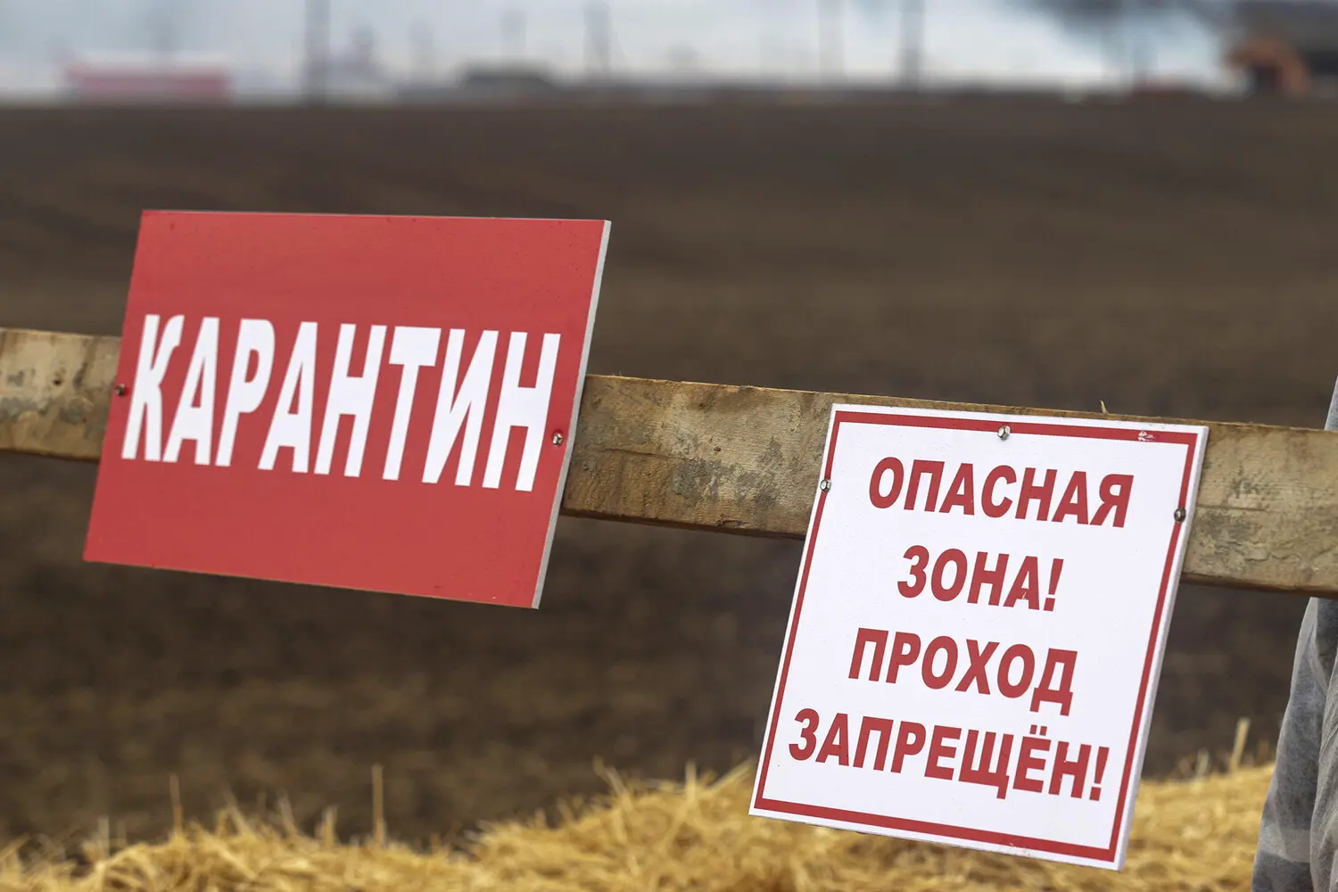 Эске Виллерслев и Yersinia pestis сделали новое открытие в журнале Nature-0