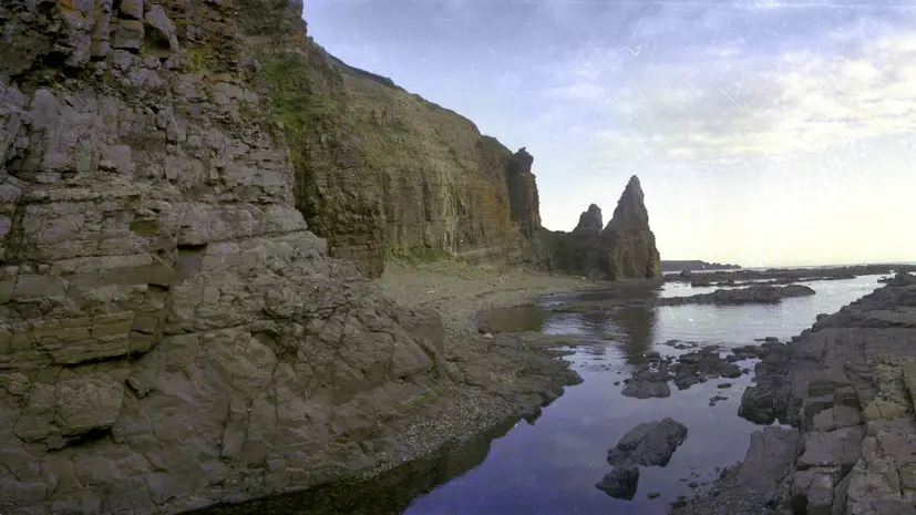 «Ещё за Аляску не рассчитались»: в России ответили на идею США о покупке Командорских островов