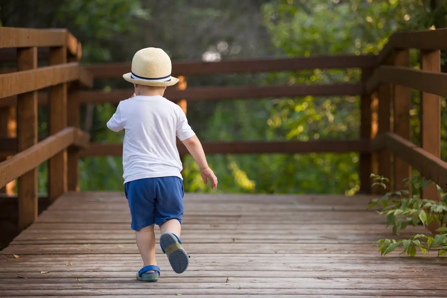 Ратгерский университет изучил влияние парков на риск СДВГ и аутизма у детей-0