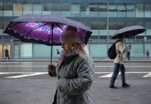 Раздел имущества Елены Степаненко и Евгения Петросяна включает особенности затрат на экспертизу razdel imushhestva eleny stepanenko i evgeniya petrosyana vklyuchaet osobennosti zatrat na ekspertizu-obzone-su-0