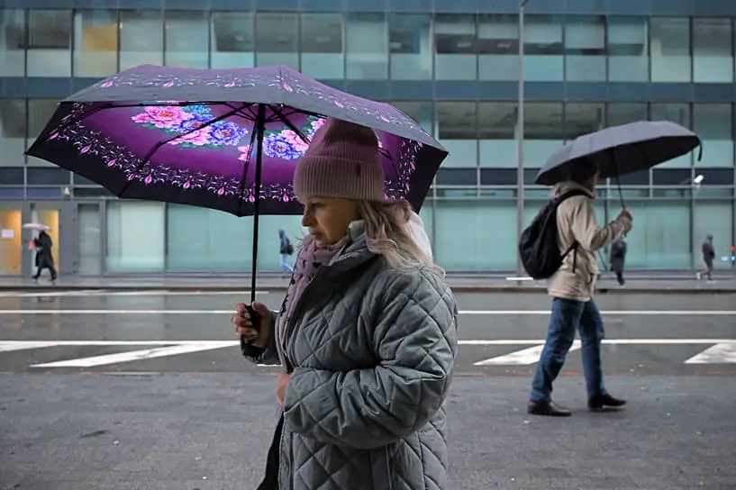Раздел имущества Елены Степаненко и Евгения Петросяна включает особенности затрат на экспертизу-0