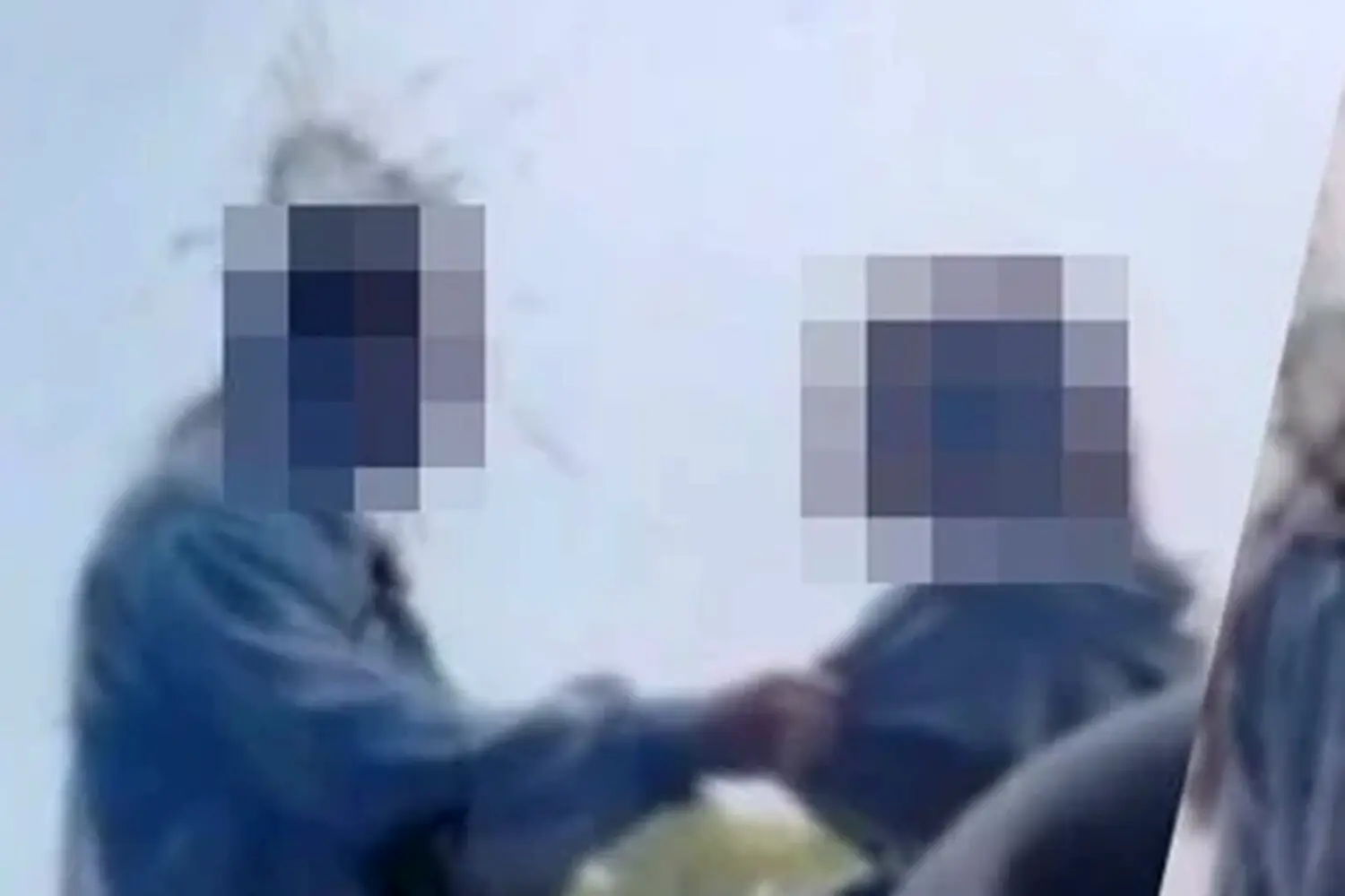 В Новосибирской области семья защищает ребенка в конфликте с школьницами-0