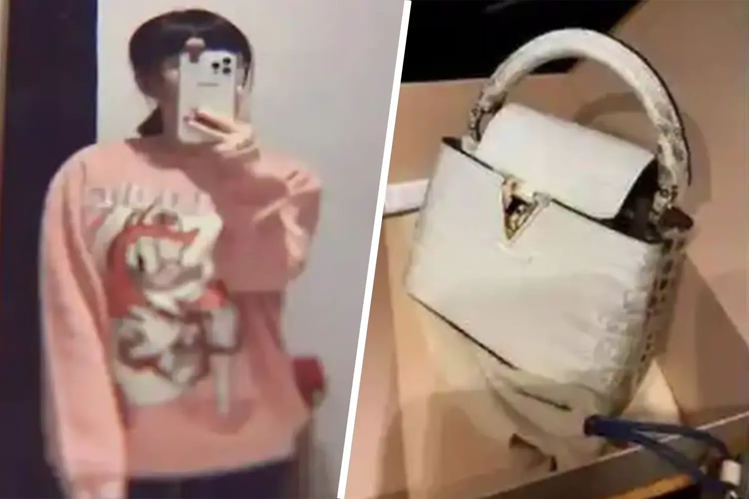 Ван Цзин и Сюю украли $2.4 млн роскоши у компании-0