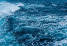 Центр гигиены и эпидемиологии Приморья гарантирует безопасность после Фукусимы czentr gigieny i epidemiologii primorya garantiruet bezopasnost posle fukusimy-obzone-su-0