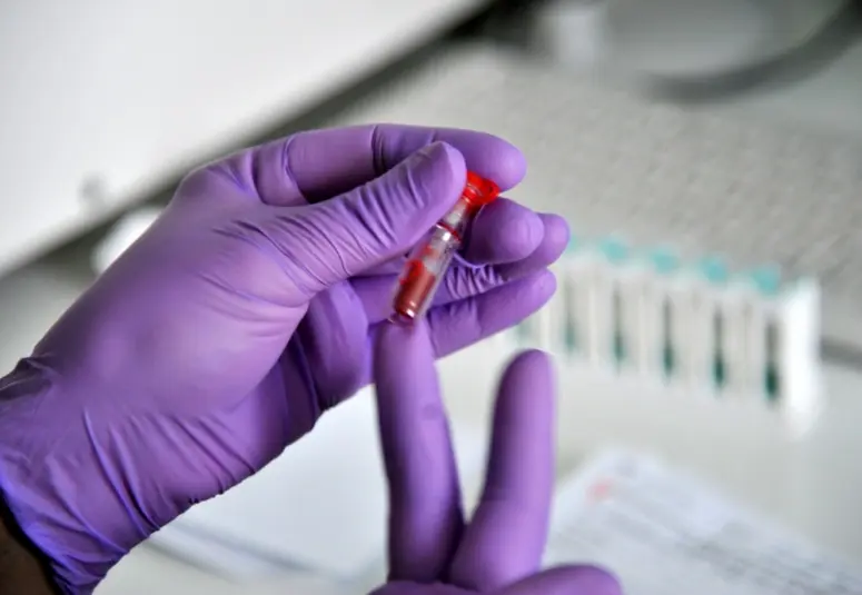 Фото: primamedia.ru