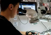 Творческое обучение в Scuola Bvlgari и TADS предлагает опыт Pandora и новые возможности tvorcheskoe obuchenie v i predlagaet opyt i novye vozmozhnosti-obzone-su-0