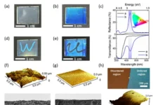 Университет Вестлейк, СПбГУ и МФТИ создали многофункциональный полимер-хамелеон universitet vestlejk spbgu i mfti sozdali mnogofunkczionalnyj polimerhameleon-obzone-su-0
