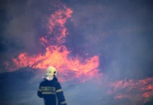 Вениамин Кондратьев и Андрей Прошунин реагируют на инцидент с БПЛА в Адлере veniamin kondratev i andrej proshunin reagiruyut na inczident s bpla v adlere-obzone-su-0