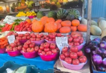 Яркое лето на Спортивном рынке Владивостока с выгодными ценами на помидоры и огурцы yarkoe leto na sportivnom rynke vladivostoka s vygodnymi czenami na pomidory i ogurczy-obzone-su-0