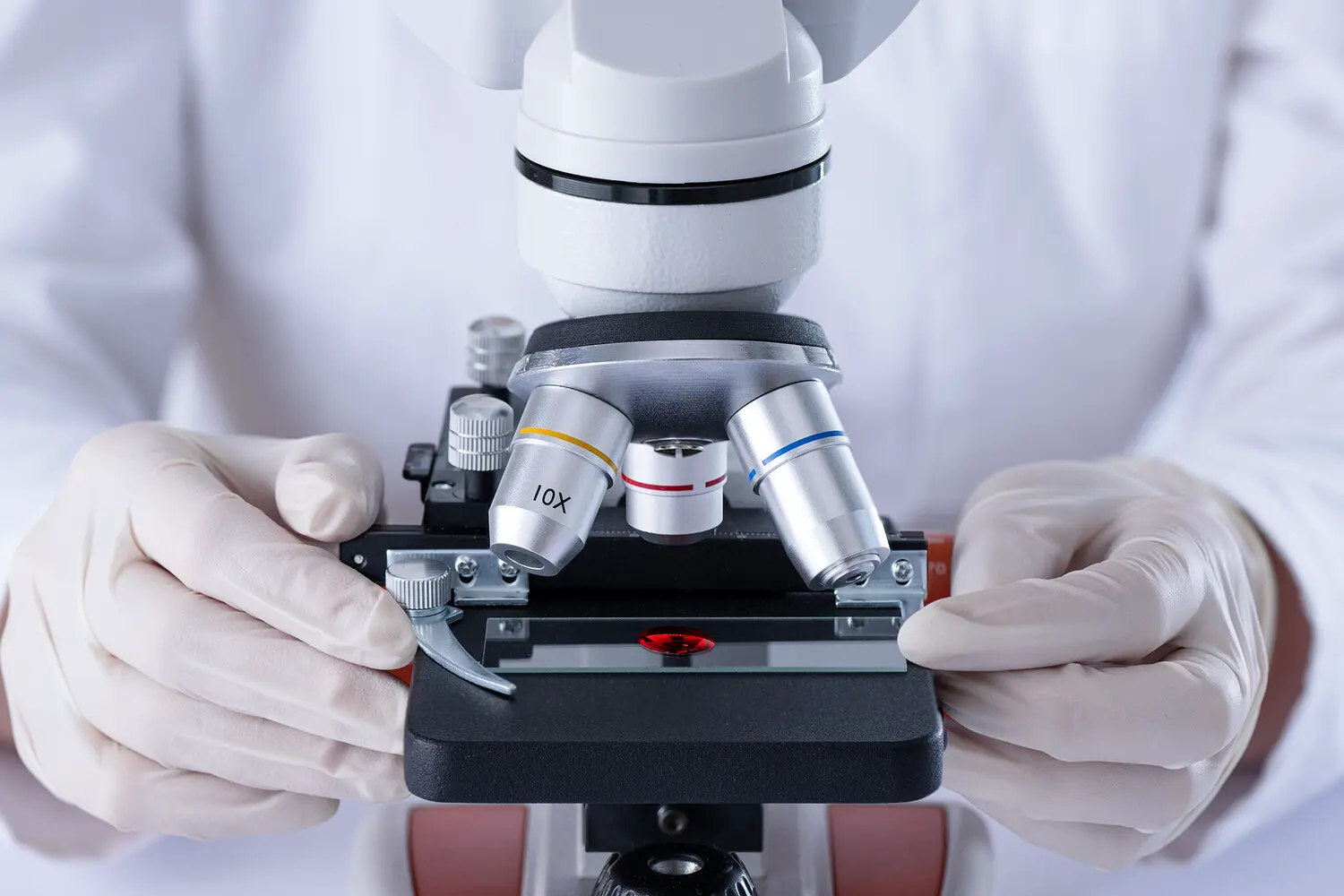 Анастасия Ботева из Пермского Политеха создала препарат против грибков-0