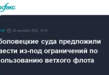 АРПП и ВАРПЭ предлагают исключить рыболовецкий флот из возрастных ограничений arpp i varpe predlagayut isklyuchit ryboloveczkij flot iz vozrastnyh ogranichenij-obzone-su-0