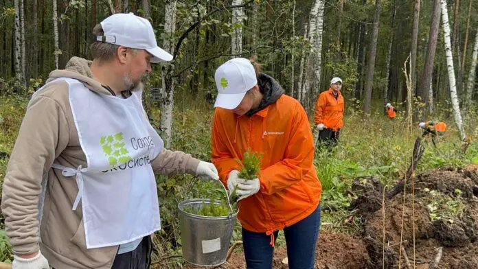 Денис Паслер и Алексей Шмыков поддержали акцию «Сохраним лес» в Свердловской области-0