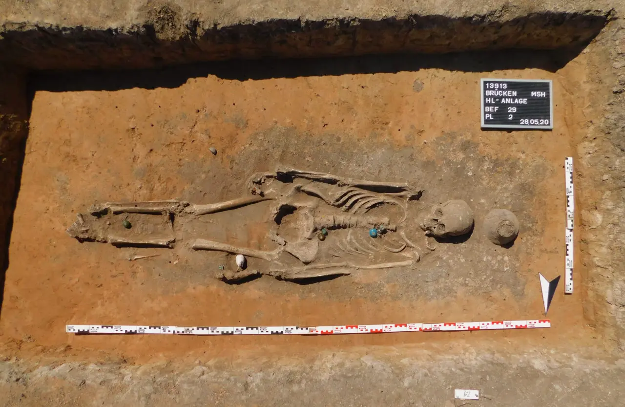 Генетические исследования выявили происхождение славян между Балканами и Польшей-0