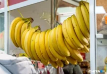 iraida mohova i irina fedorchenko delyatsya sovetami gastroeksperta o bananah-obzone-su-0