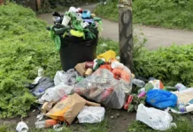 Исследование Пермского Политеха о влиянии сезонов и Степана Полыгалова на утилизацию отходов issledovanie permskogo politeha o vliyanii sezonov i stepana polygalova na utilizacziyu othodov-obzone-su-0