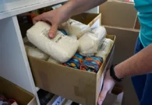 Москва оказывает поддержку жителям СВО и приграничных территорий, считает Екатерина Драгунова moskva okazyvaet podderzhku zhitelyam svo i prigranichnyh territorij schitaet ekaterina dragunova-obzone-su-0