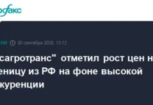 Русагротранс усиливает борьбу за лидерство на рынке пшеницы в ЕС, Аргентине и Иордании rusagrotrans usilivaet borbu za liderstvo na rynke psheniczy v es argentine i iordanii-obzone-su-0