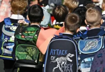 Светлана Сергеевна Трусенова развеяла слухи о Минобразовании Калининграда svetlana sergeevna trusenova razveyala sluhi o minobrazovanii kaliningrada-obzone-su-0